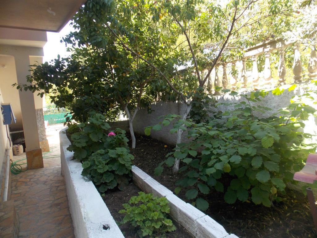 Guest House Vila Bega Sarandë 외부 사진
